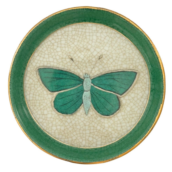 C.A.M Entomologie Savon Dish - Gro Urban Oasis