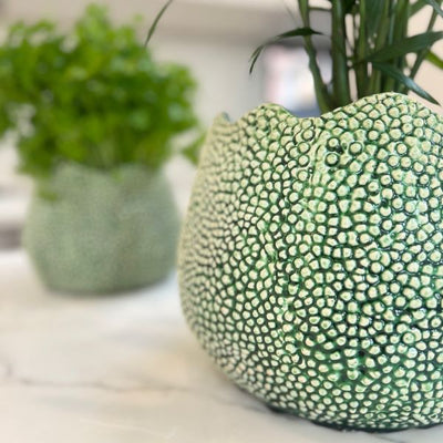 Mode Lychee Pot Large Green - Gro Urban Oasis