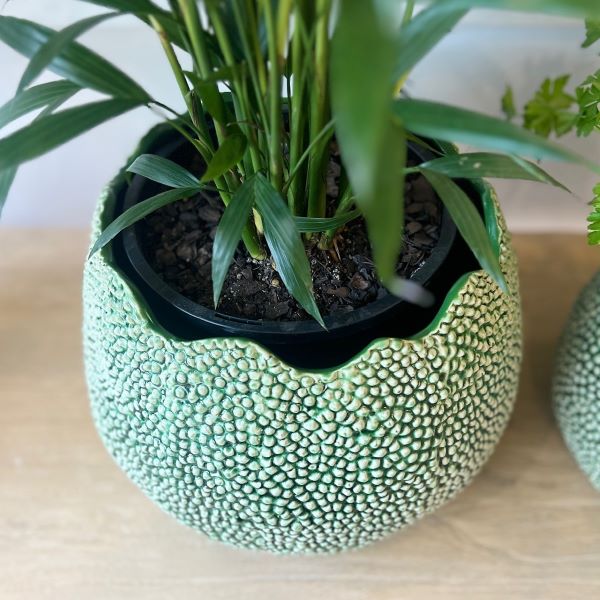 Mode Lychee Pot Large Green - Gro Urban Oasis