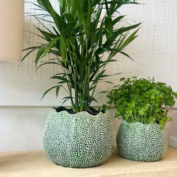 Mode Lychee Pot Large Green - Gro Urban Oasis