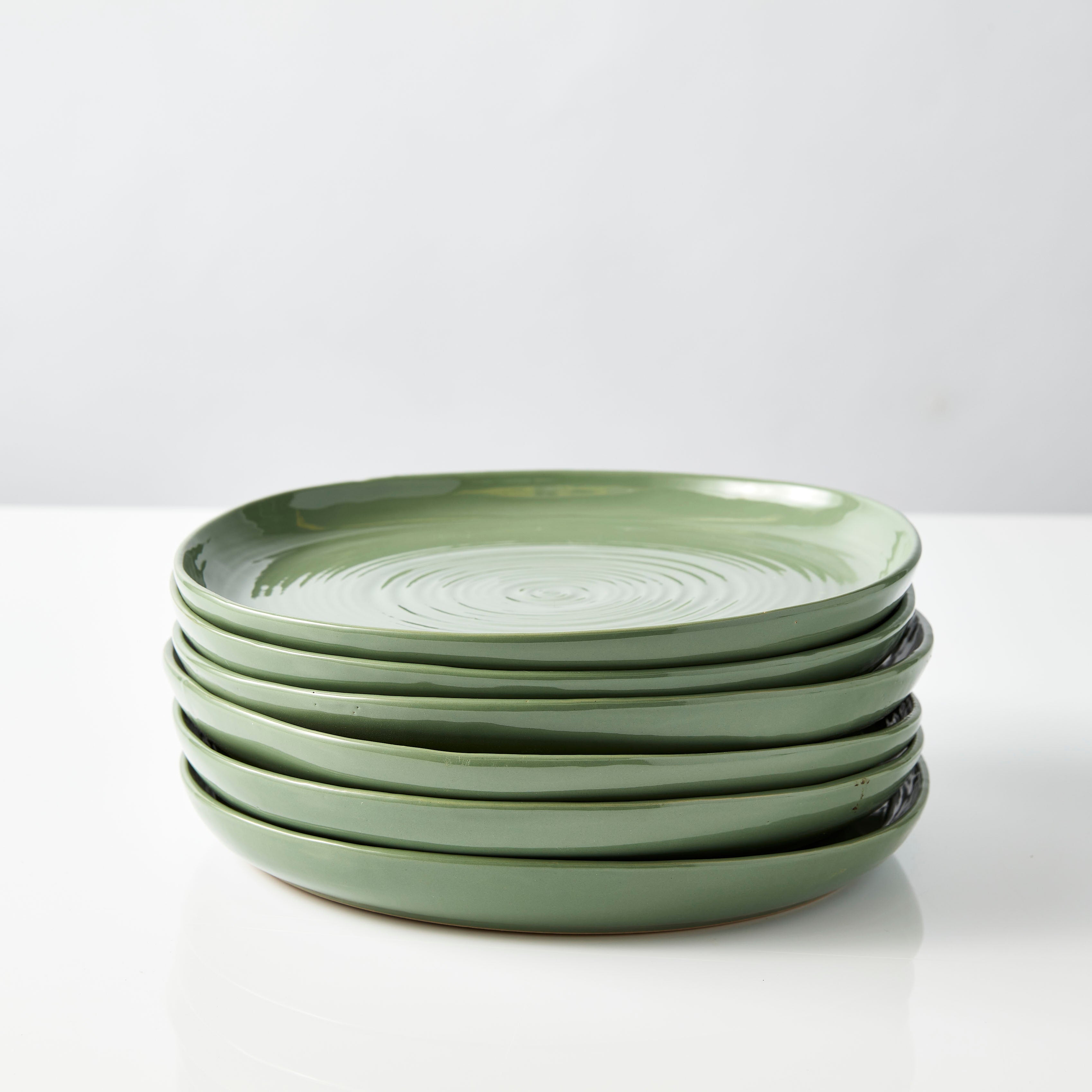Neale Whitaker Everyday Dinner Plate Stack of 6 Fern - Gro Urban Oasis
