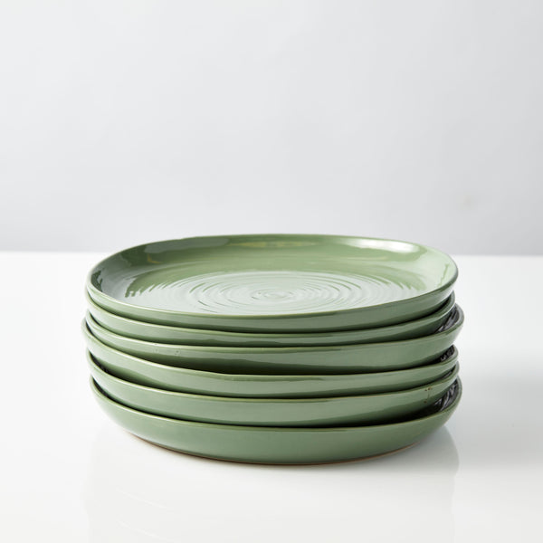 Neale Whitaker Everyday Dinner Plate Stack of 6 Fern - Gro Urban Oasis
