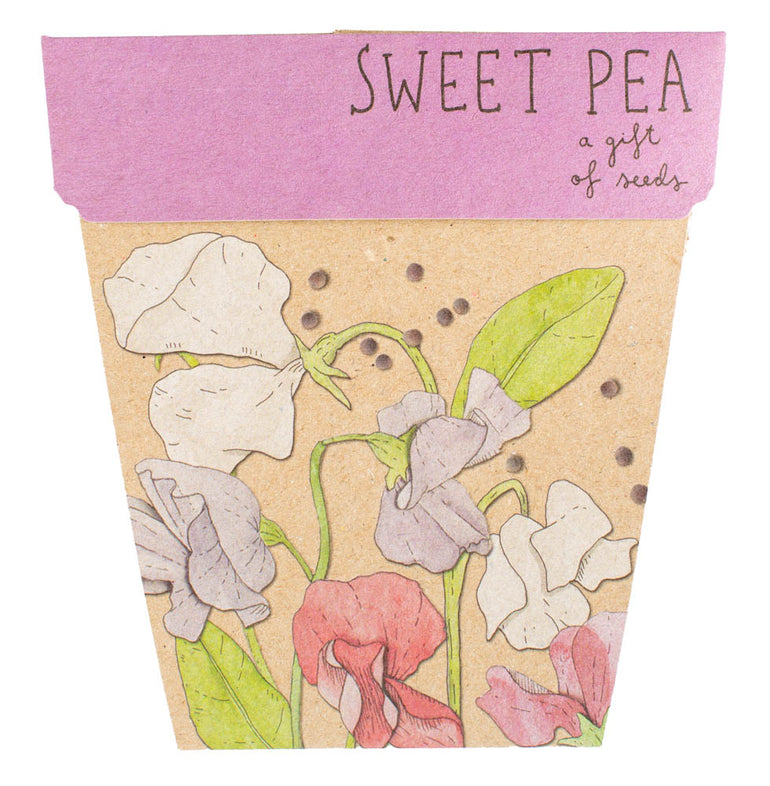 Sweet Pea GOS