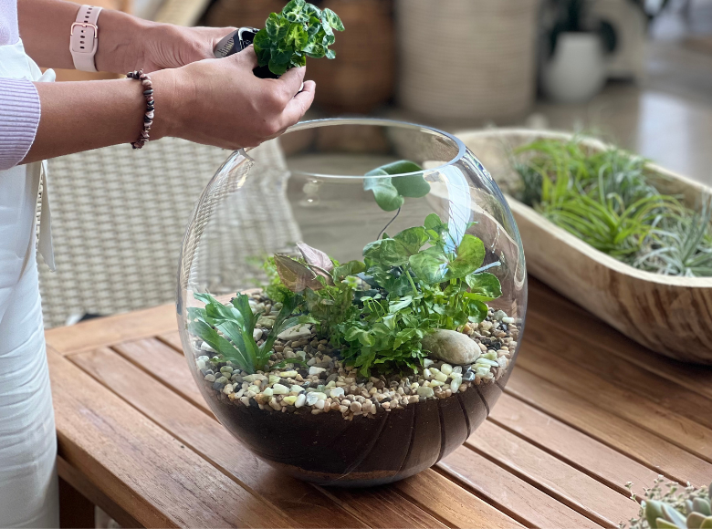 Urban Oasis Terrarium Round Extra Large - Gro Urban Oasis