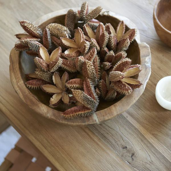Hand Carved Tree Root Serving Bowl Large - Gro Urban Oasis