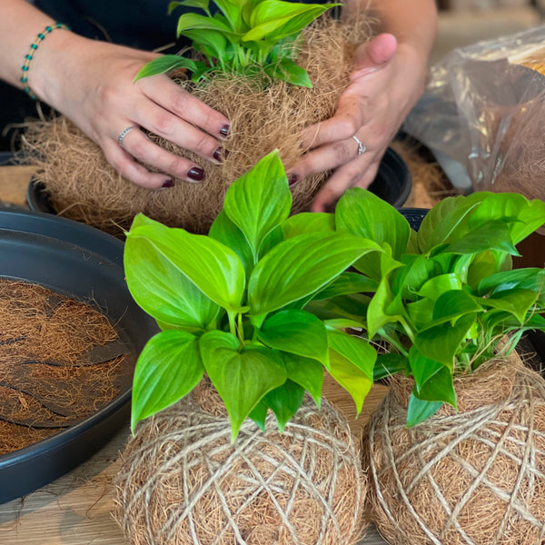 Kokedama Workshop