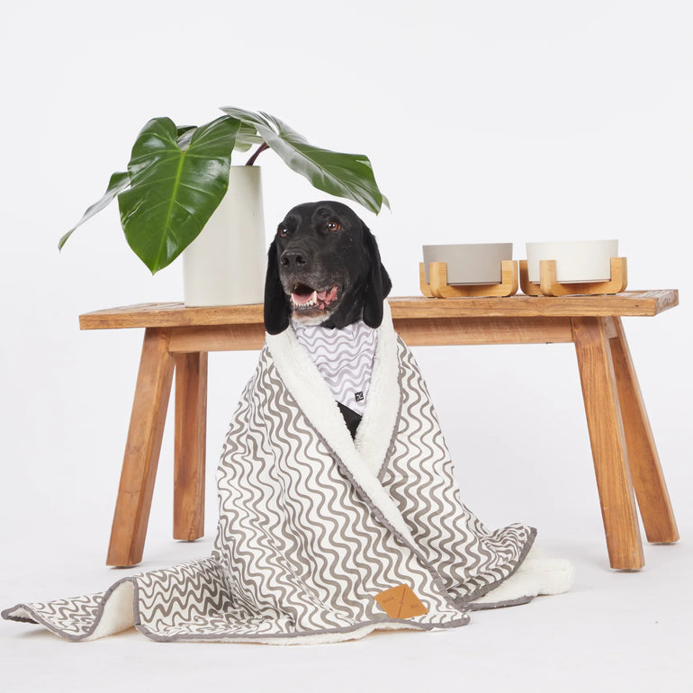 Mog & Bone Pet Blanket With Fleece Mocha Wave