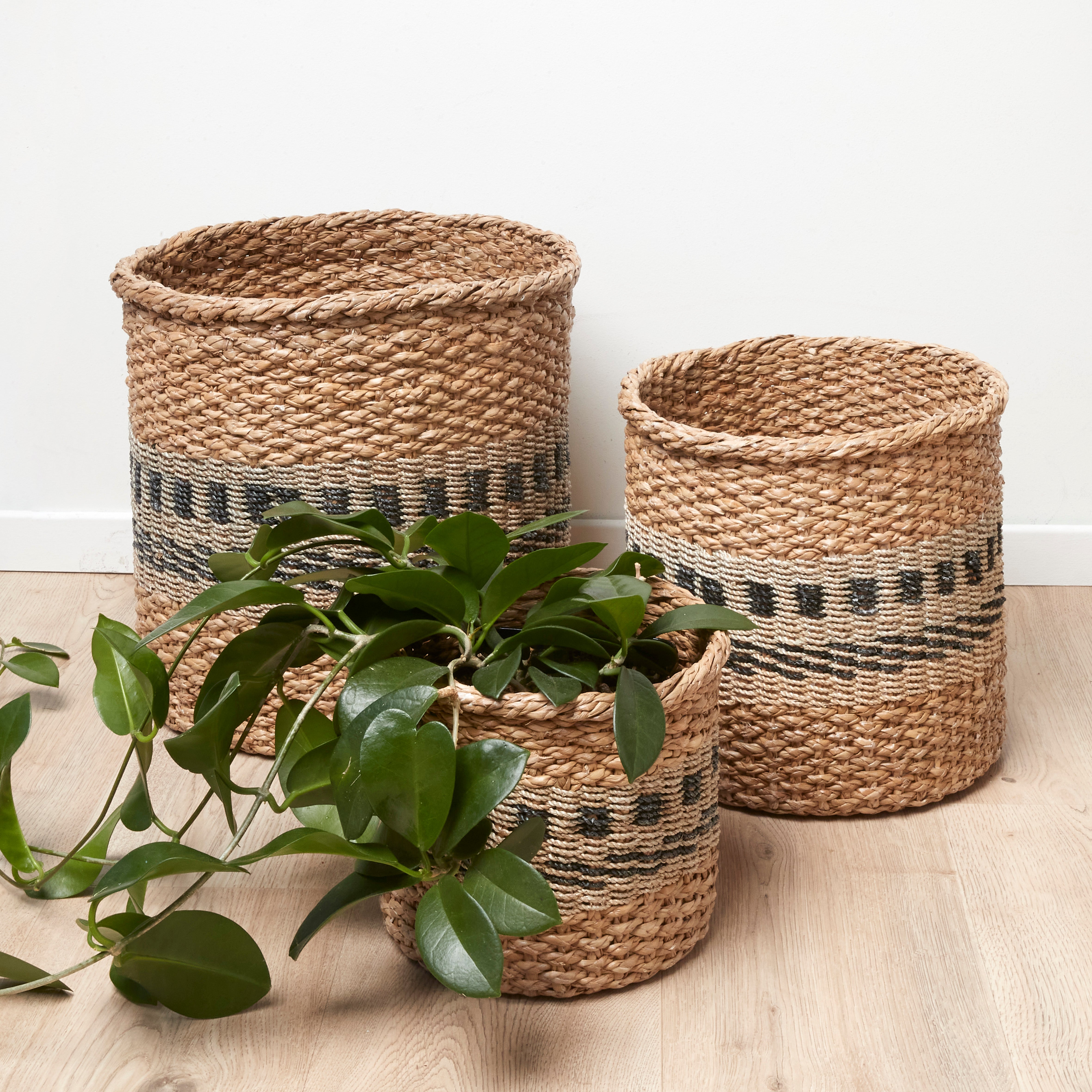 Urban Oasis Marley Basket Small