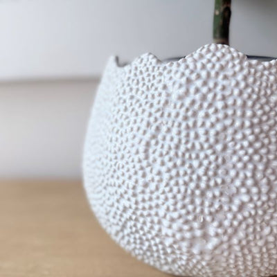 Mode Lychee Pot Large White - Gro Urban Oasis