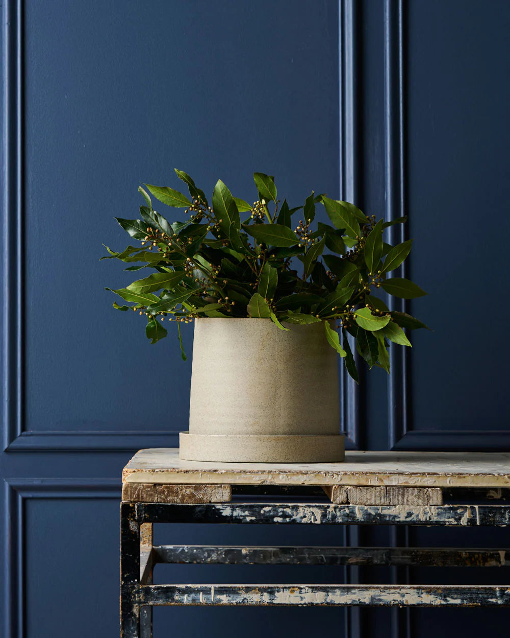 Robert Gordon Garden to Table Pot - Gro Urban Oasis