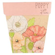 Poppy GOS