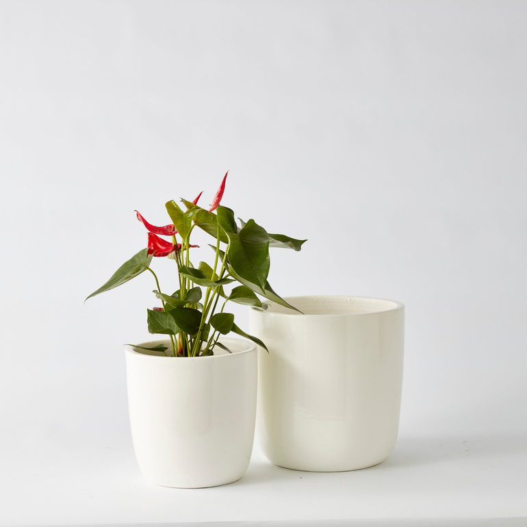 Urban Oasis Alba Pot White 260mm - Gro Urban Oasis