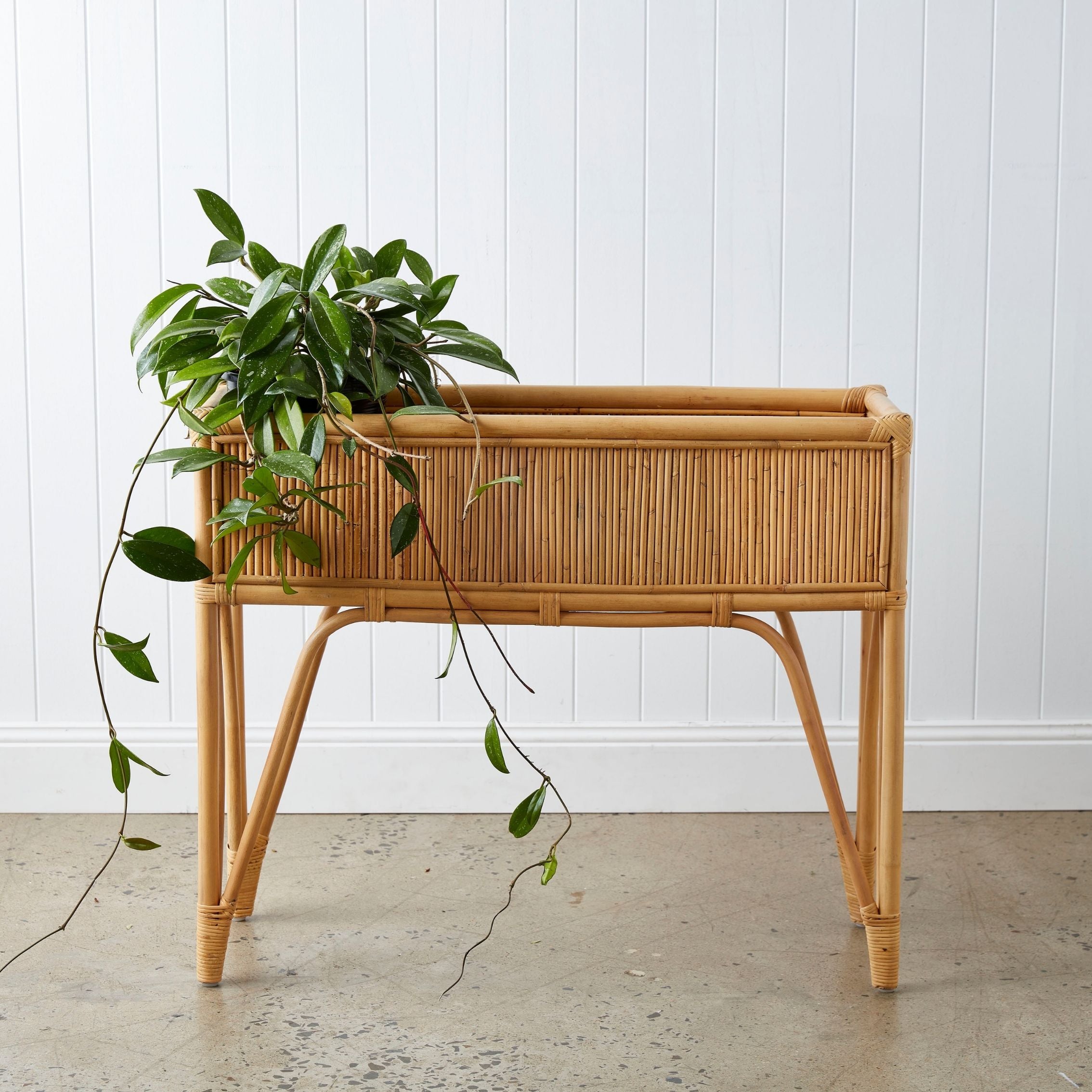 Urban Oasis Amira Rattan Plant Stand - Gro Urban Oasis