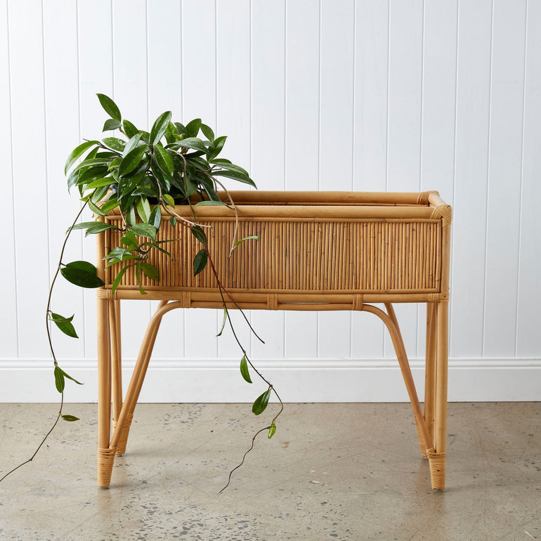 Urban Oasis Amira Rattan Plant Stand - Gro Urban Oasis