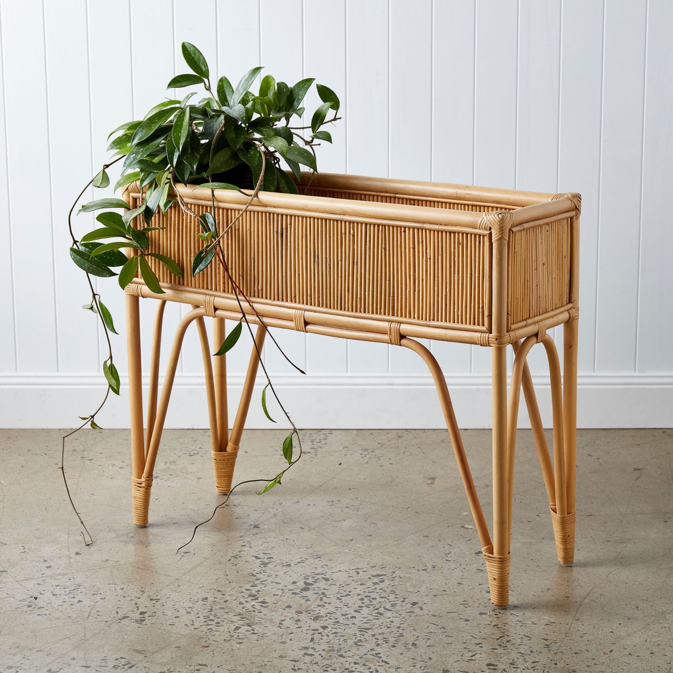 Urban Oasis Amira Rattan Plant Stand - Gro Urban Oasis