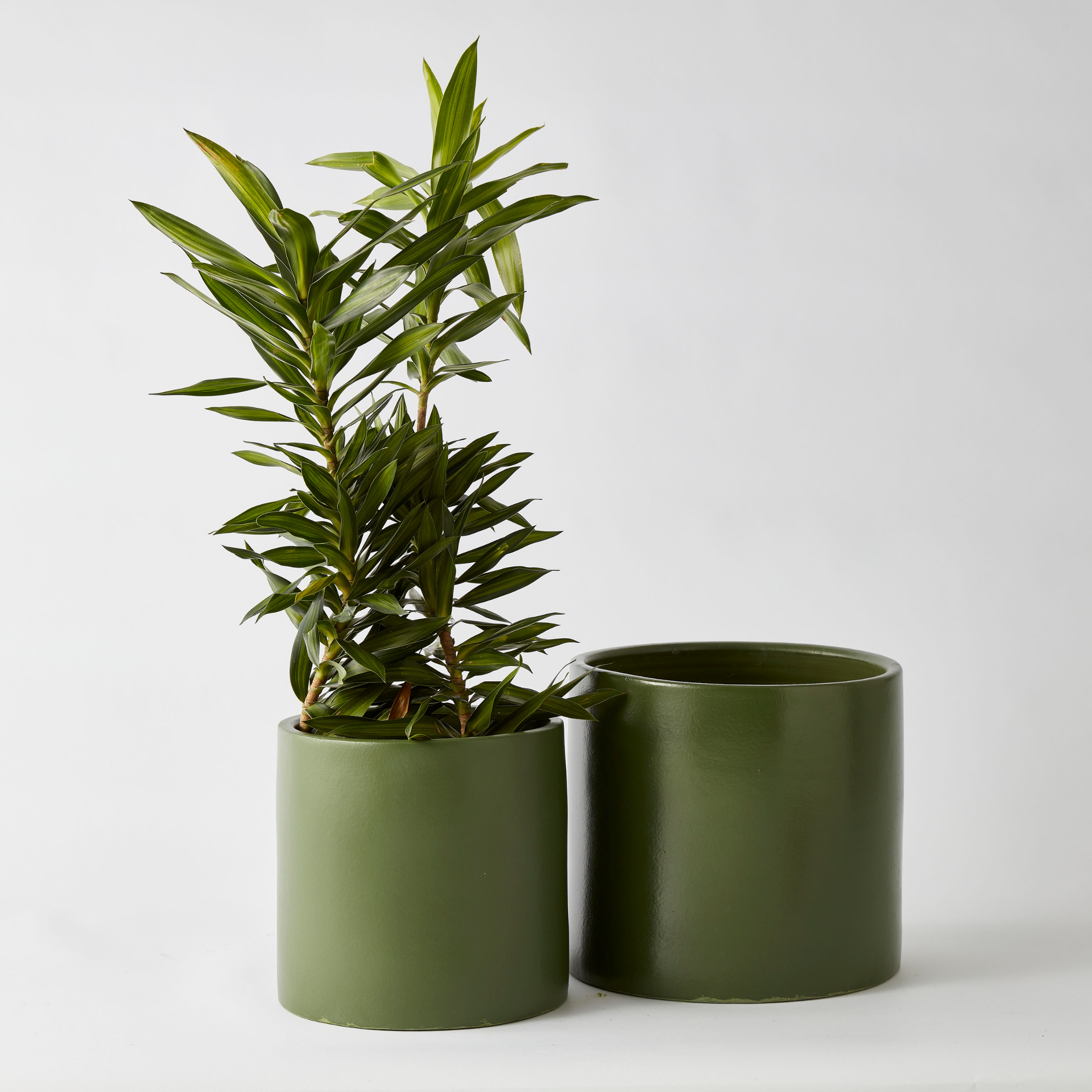Urban Oasis Anika Pot Thyme 300mm - Gro Urban Oasis