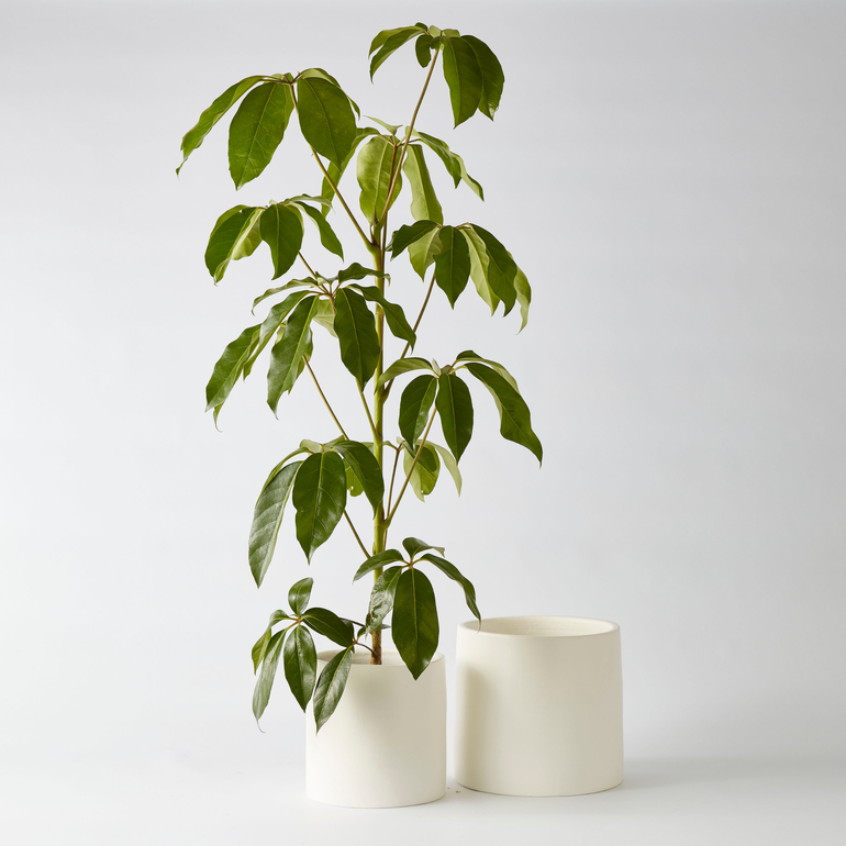 Urban Oasis Anika Pot White 300mm - Gro Urban Oasis