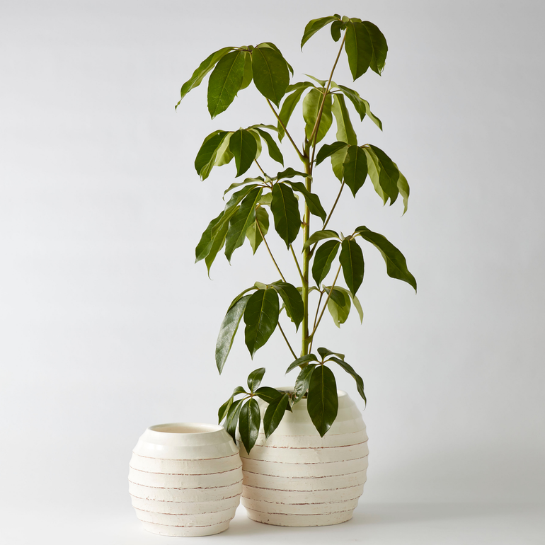 URBAN OASIS KORBO POT WHITE LARGE - Gro Urban Oasis