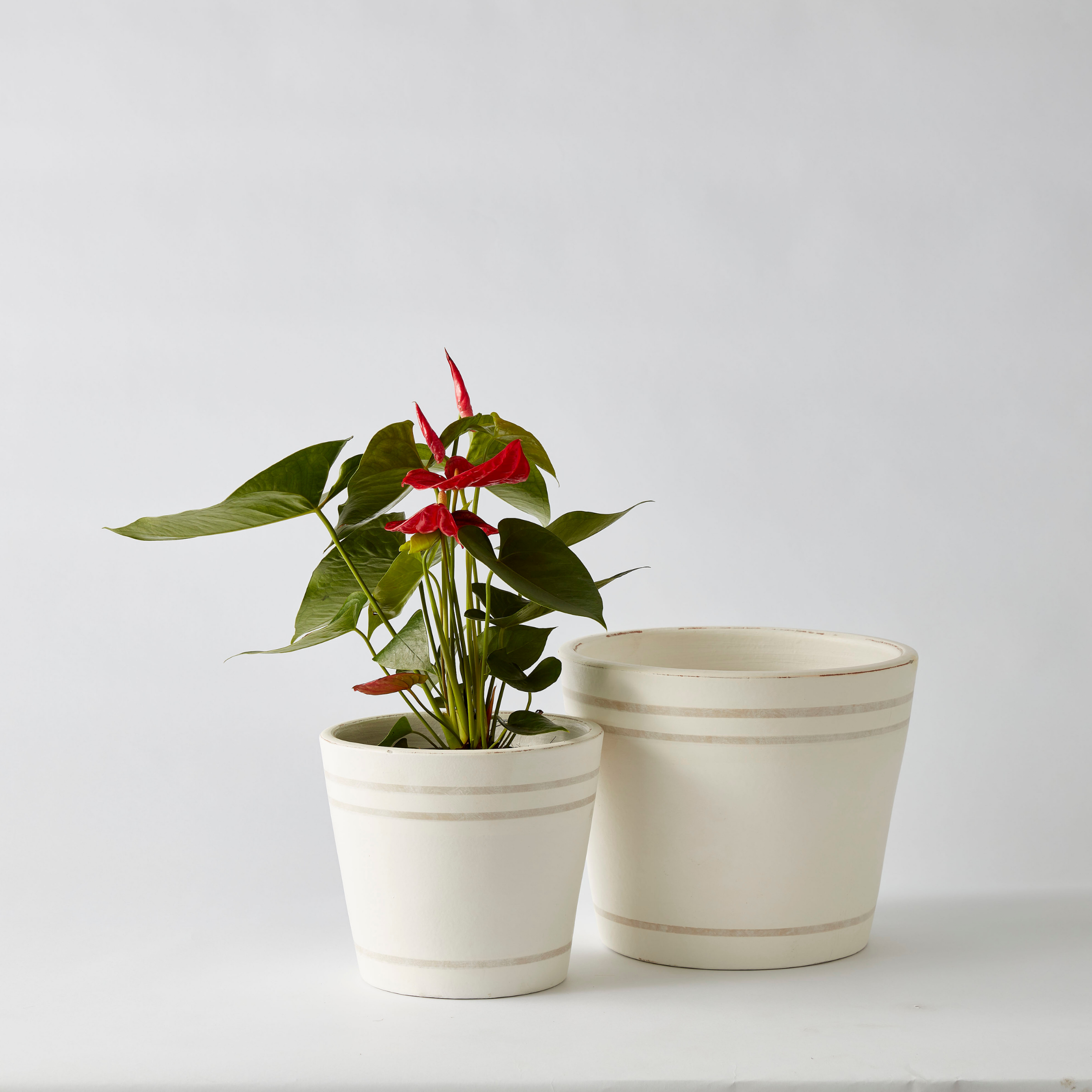 Urban Oasis Lani Stripe Pot Oyster 240mm - Gro Urban Oasis