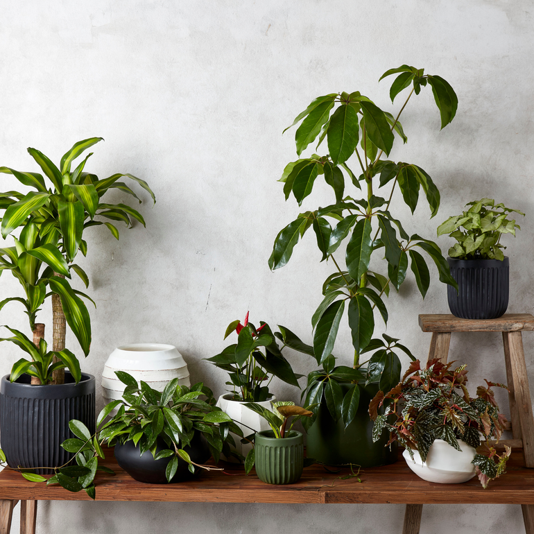 Urban Oasis Linea Pot Woodland Gray 390mm - Gro Urban Oasis