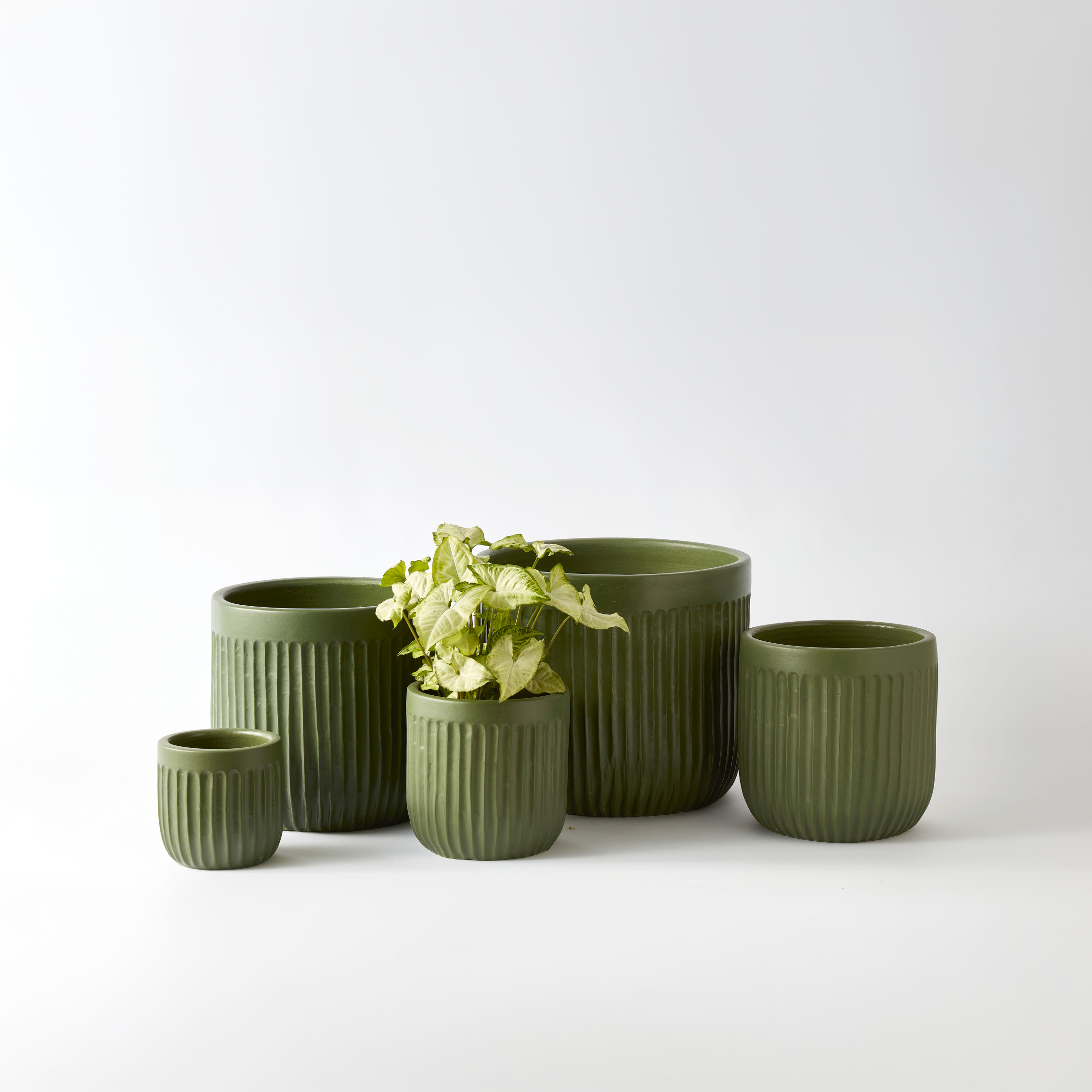 Urban Oasis Linea Pot Thyme 210mm - Gro Urban Oasis