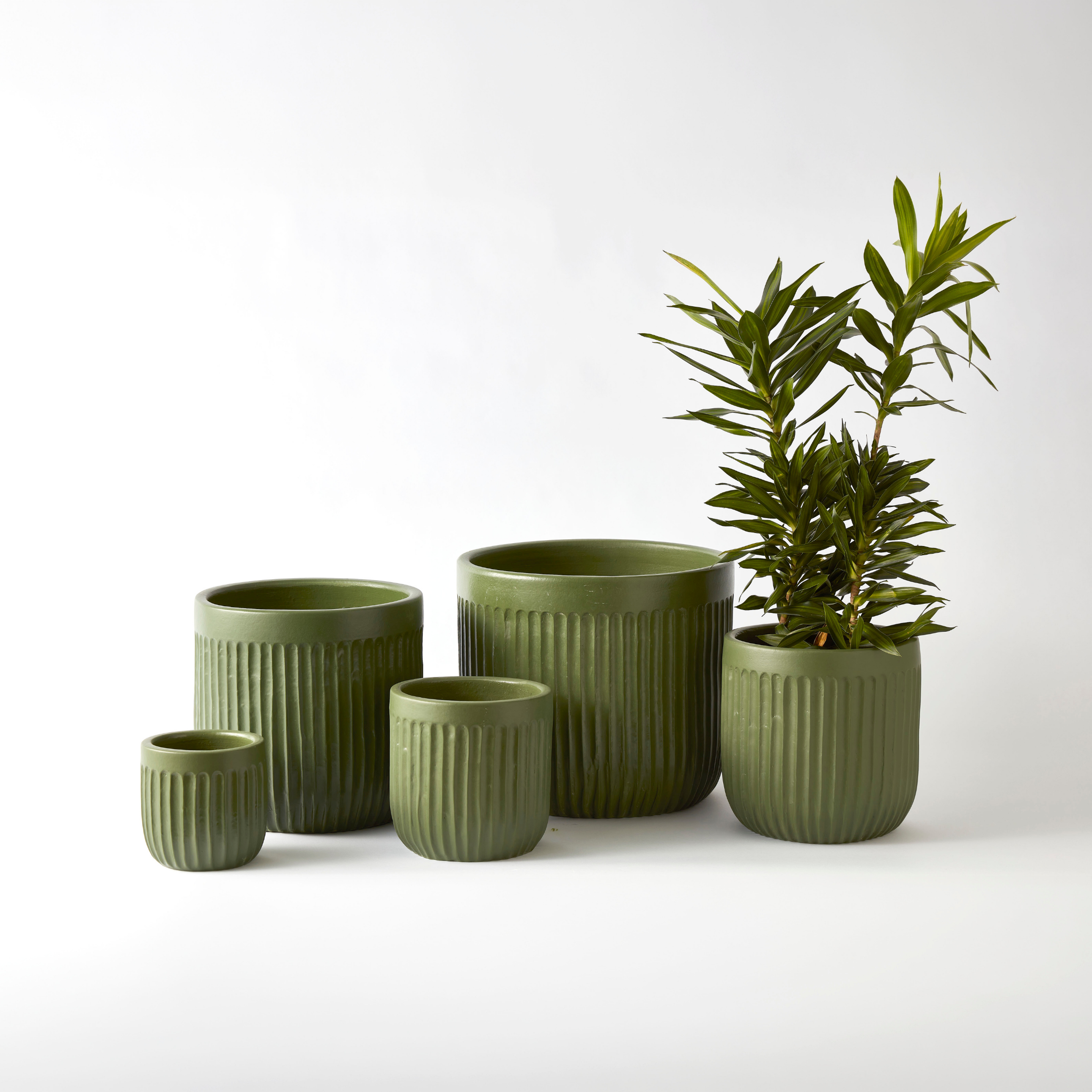 Urban Oasis Linea Pot Thyme 250mm - Gro Urban Oasis