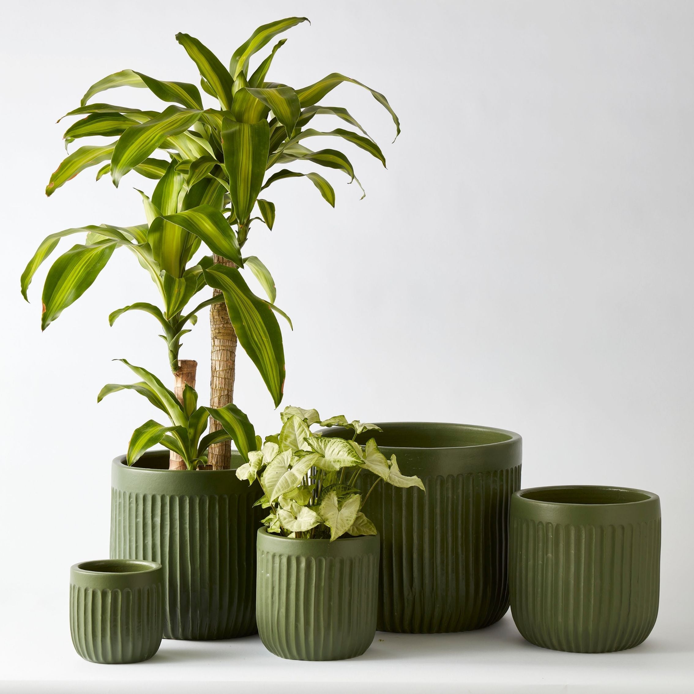 Urban Oasis Linea Pot Thyme 390mm - Gro Urban Oasis