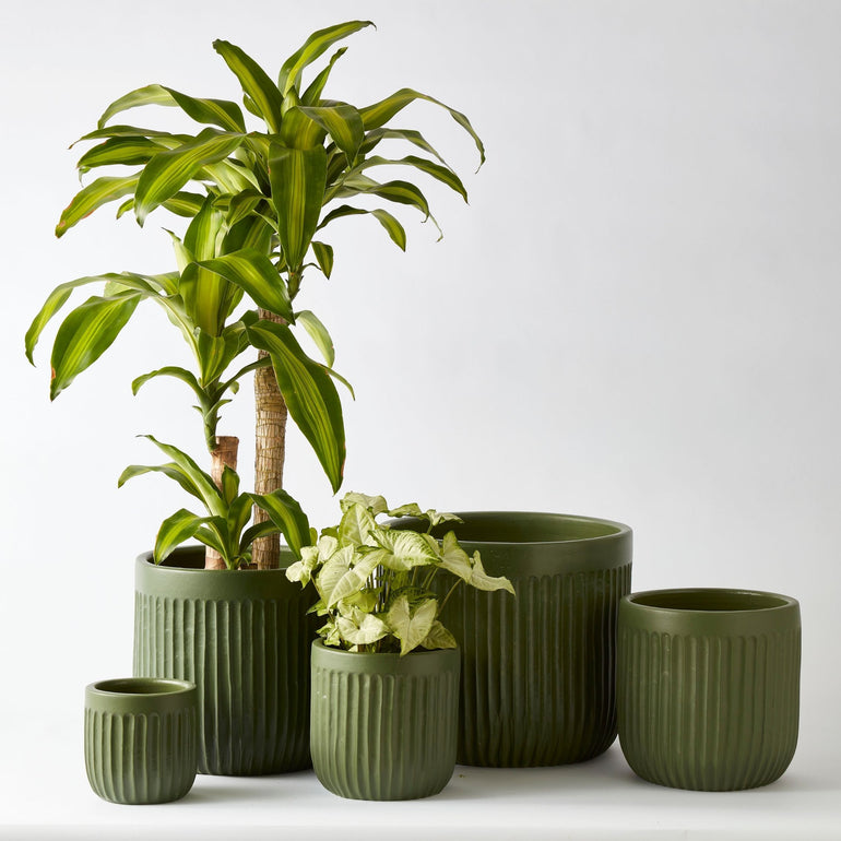 Urban Oasis Linea Pot Thyme 390mm - Gro Urban Oasis
