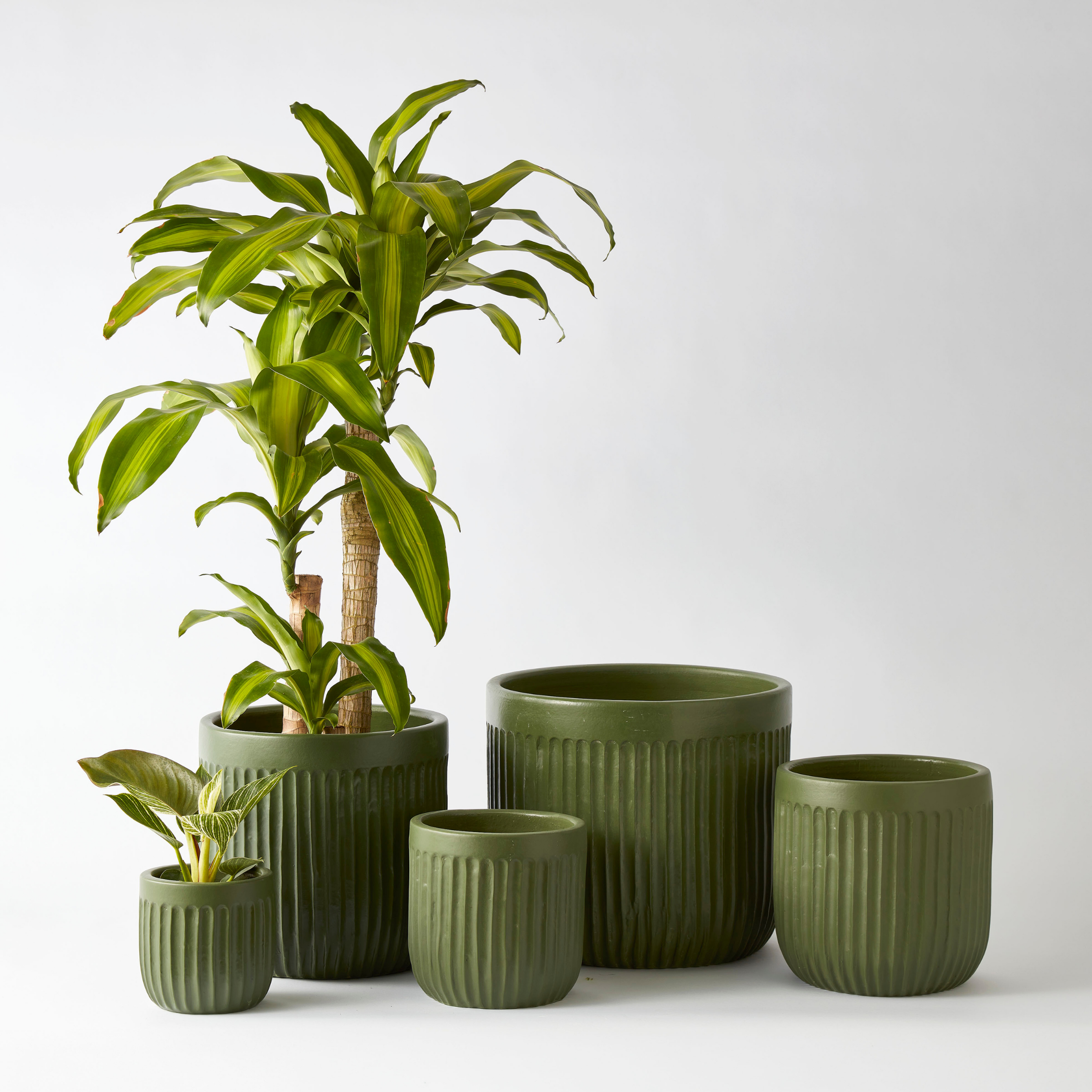 Urban Oasis Linea Pot Thyme 150mm - Gro Urban Oasis
