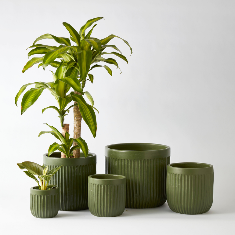 Urban Oasis Linea Pot Thyme 150mm - Gro Urban Oasis