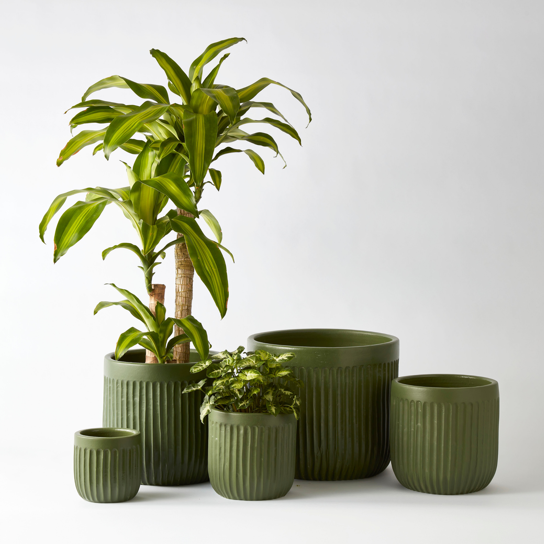 Urban Oasis Linea Pot Thyme 300mm - Gro Urban Oasis