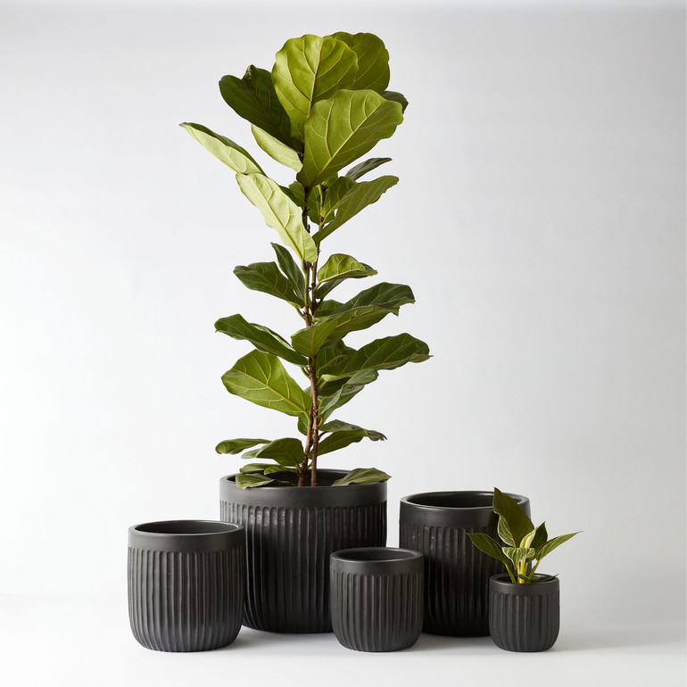 Urban Oasis Linea Pot Woodland Gray 150mm. - Gro Urban Oasis