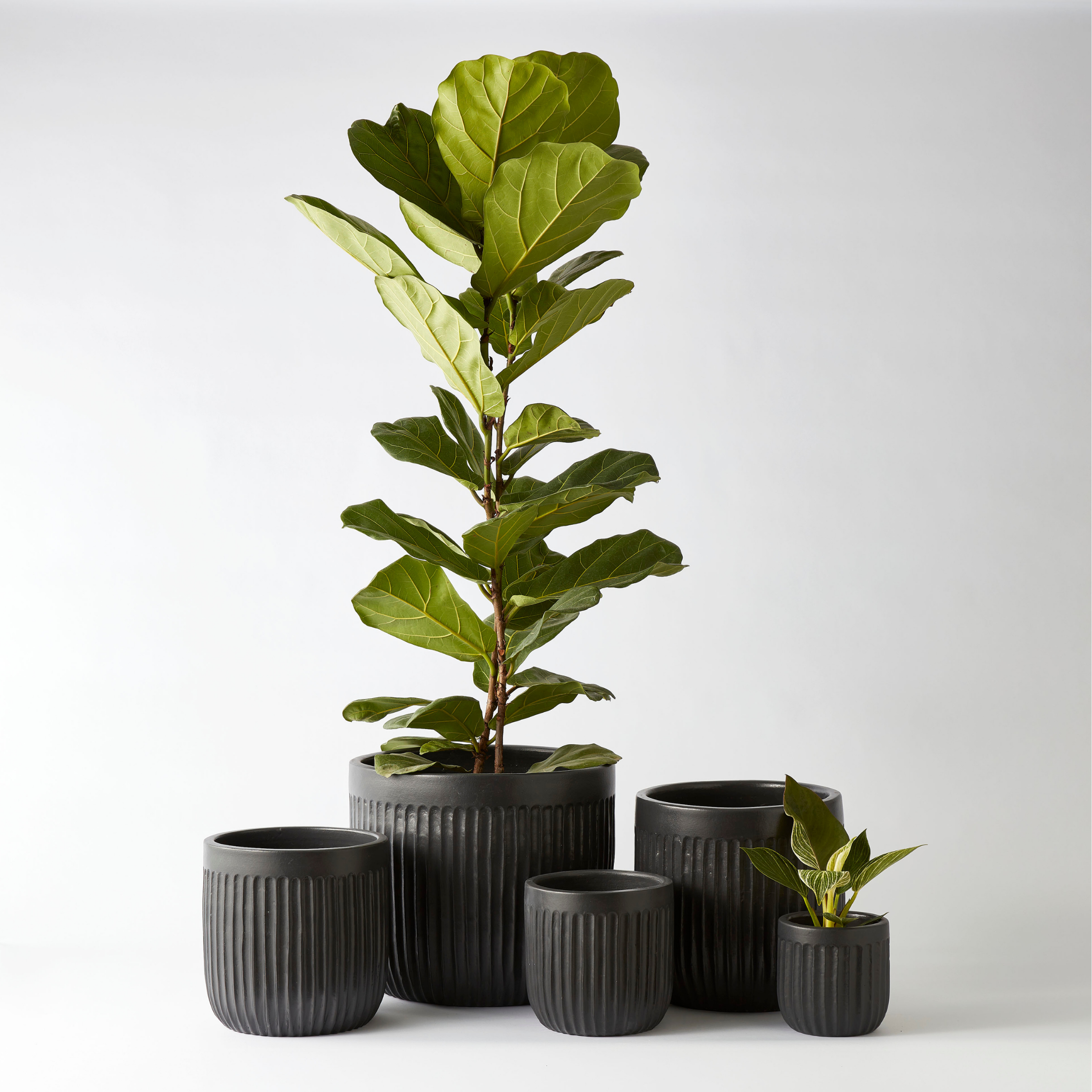 Urban Oasis Linea Pot Woodland Gray 300mm - Gro Urban Oasis
