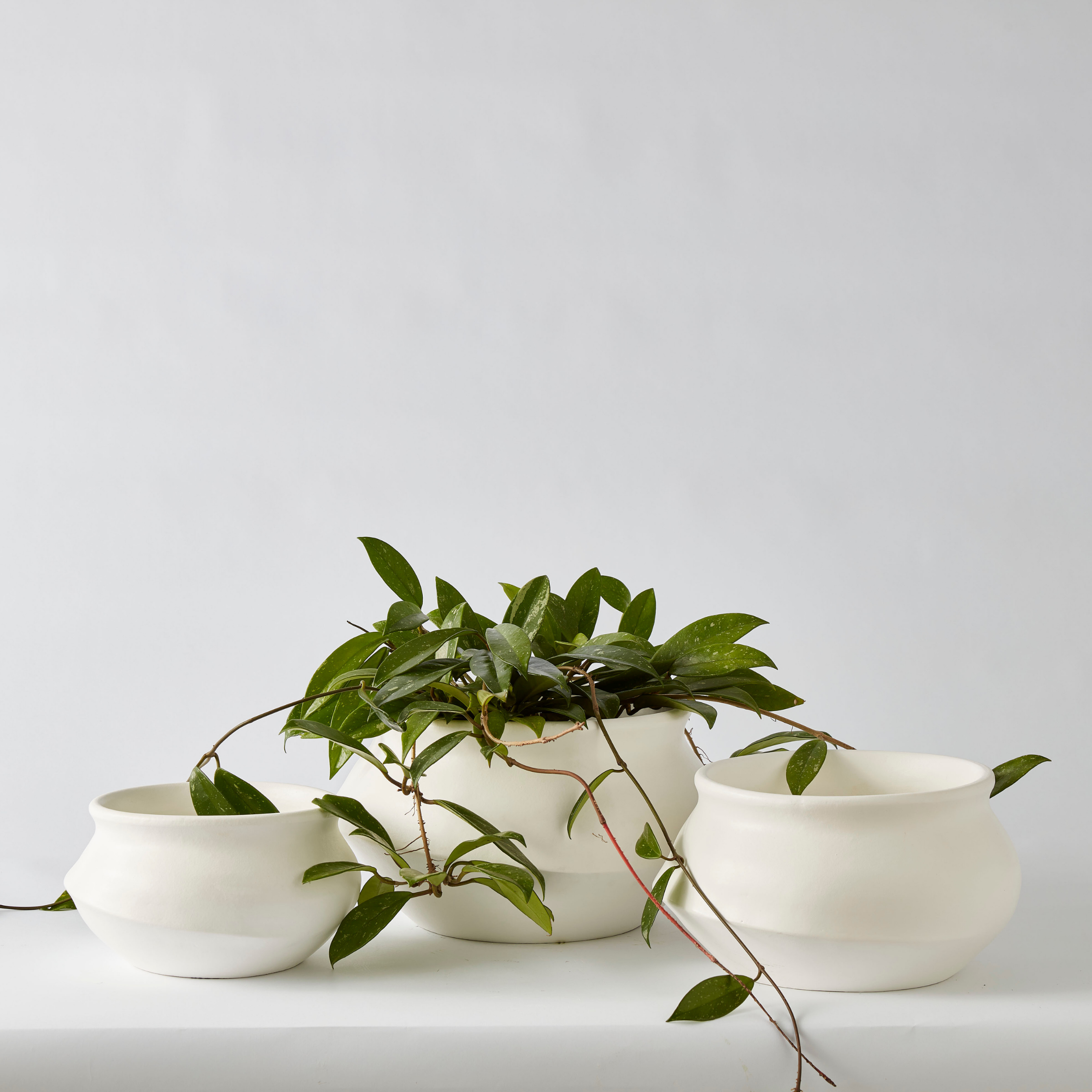 Urban Oasis Naya Pot Matte White Medium - Gro Urban Oasis