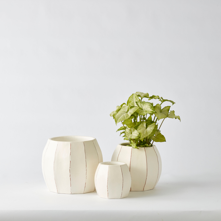 Urban Oasis Rena Pot White 250mm - Gro Urban Oasis