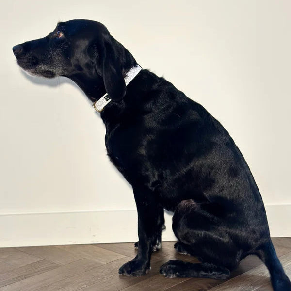 Mog & Bone Hemp Mocha Wave Dog Collar Small