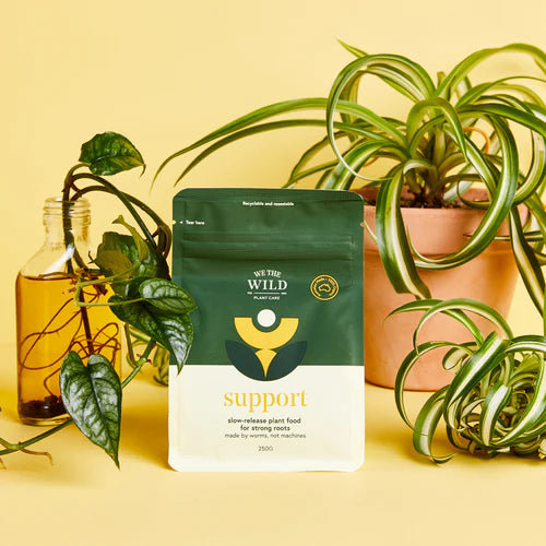 We The Wild House Plants Essential Kit - Gro Urban Oasis
