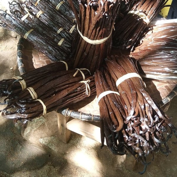 Bundles of cured vanilla pods
