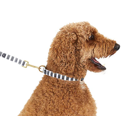 Mog & Bone Hemp Hamptons stripe dog collar charcoal small