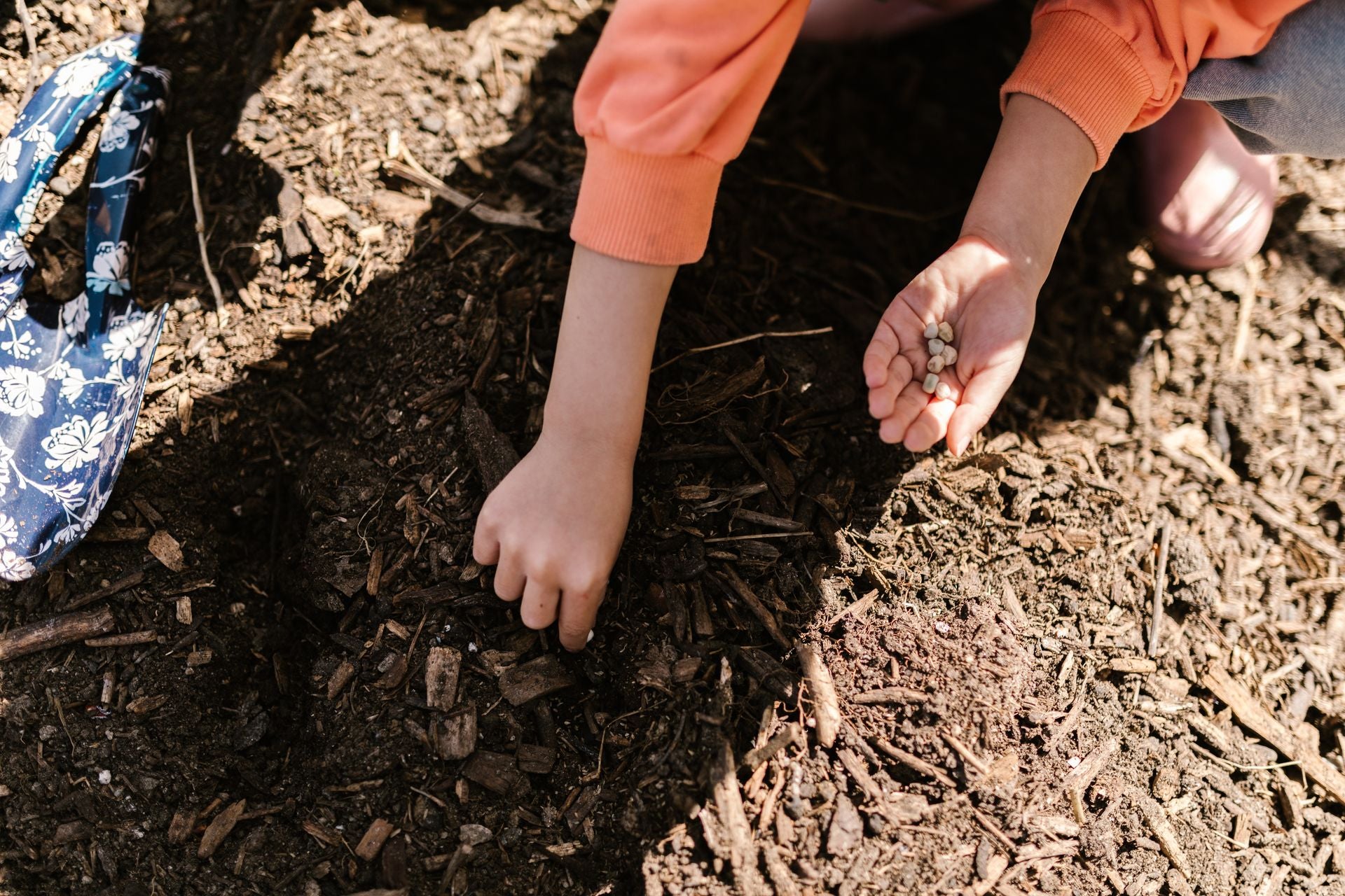 Child planting seeds by hand in garden soil