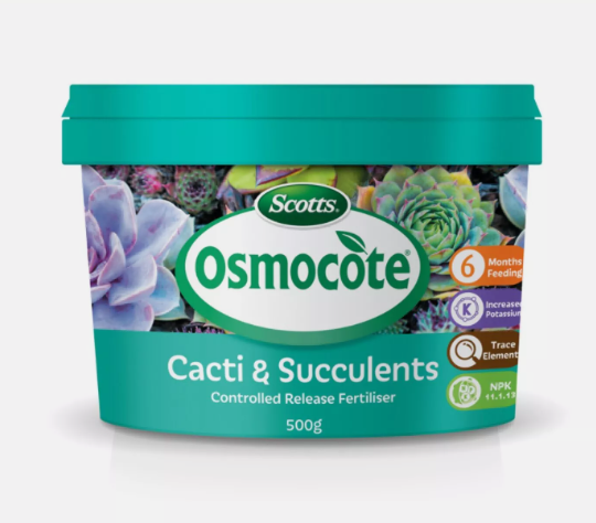 Osmocote Cacti & Succulent 500g