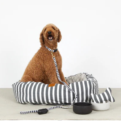 Mog & Bone Hemp Hamptons Stripe Dog Collar Charcoal Large - Gro Urban Oasis
