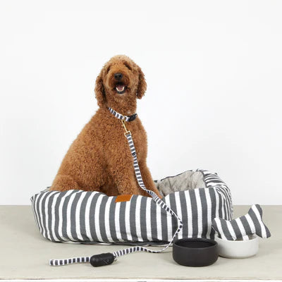 Mog & Bone Hemp Hamptons stripe dog collar charcoal small