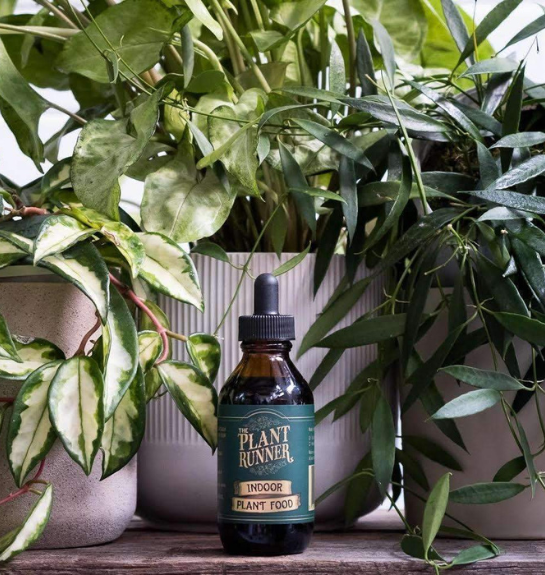 The Plant Runner Liquid food - Gro Urban Oasis
