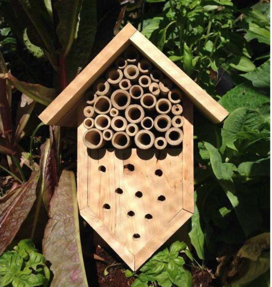 Insect Hotel - Gro Urban Oasis